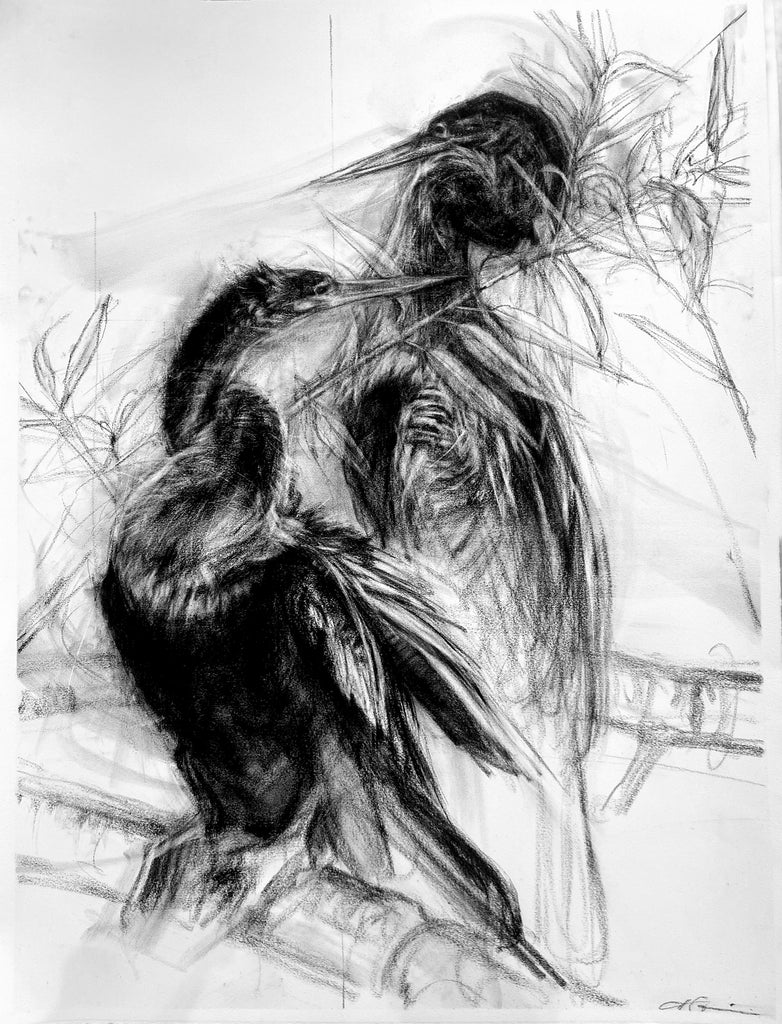 April Coppini - Everglades Anhinga Pair