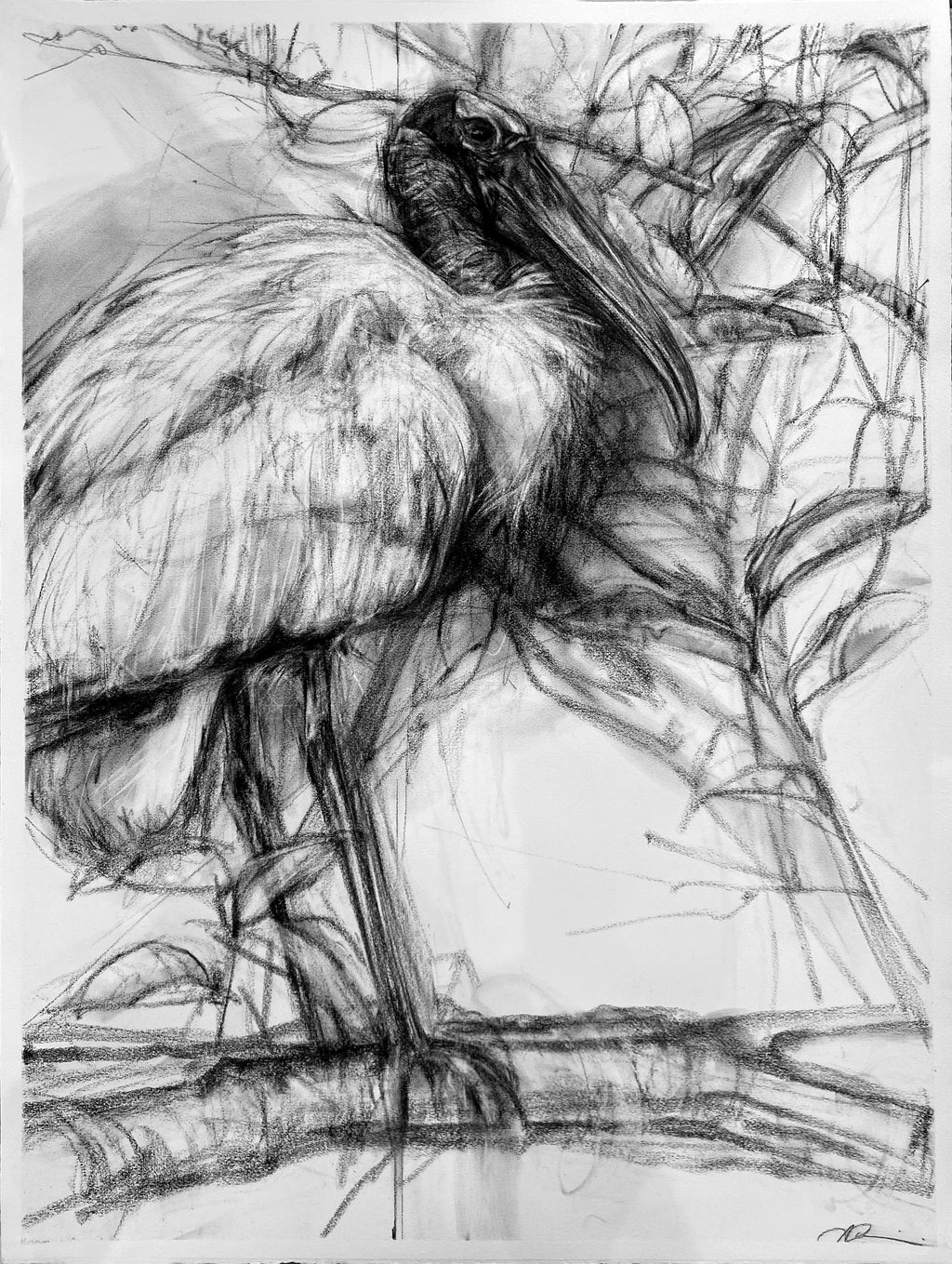 April Coppini - Wood Stork in the Mangroves