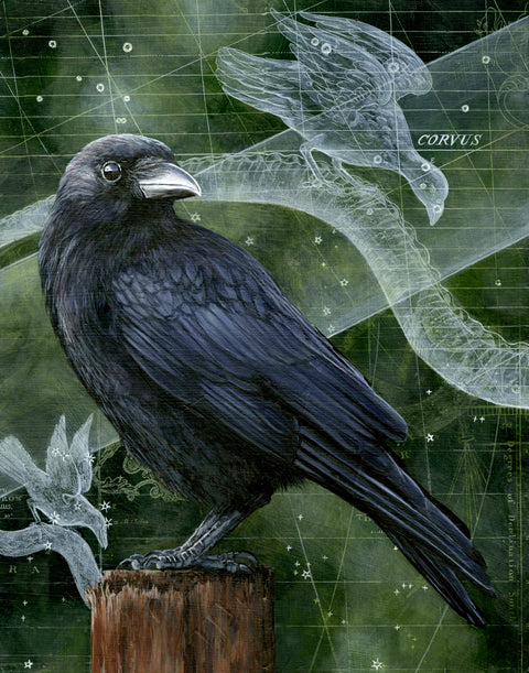 Christina Keith - Corvus