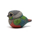 Calvin Ma - Chubby Bird: Crimson-Bellied Parakeet