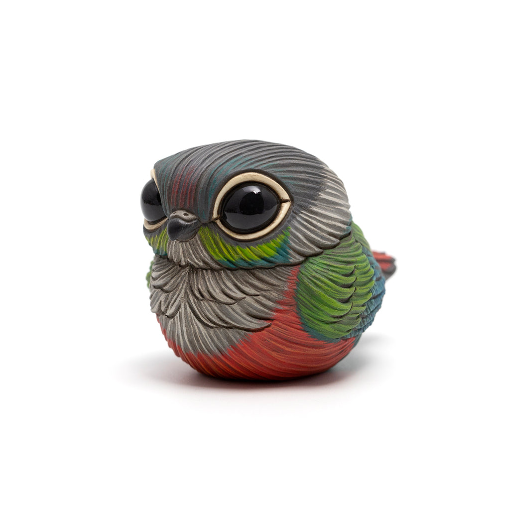 Calvin Ma - Chubby Bird: Crimson-Bellied Parakeet