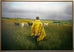 David Rice - Across the Field
