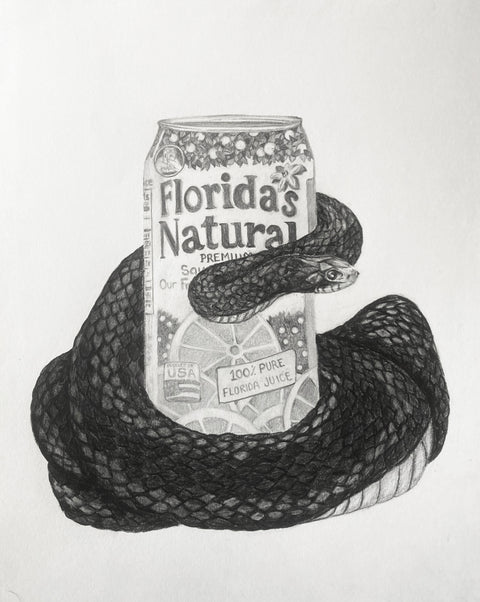 Susannah Kelly - Florida's Natural (Eastern Indigo Snake)