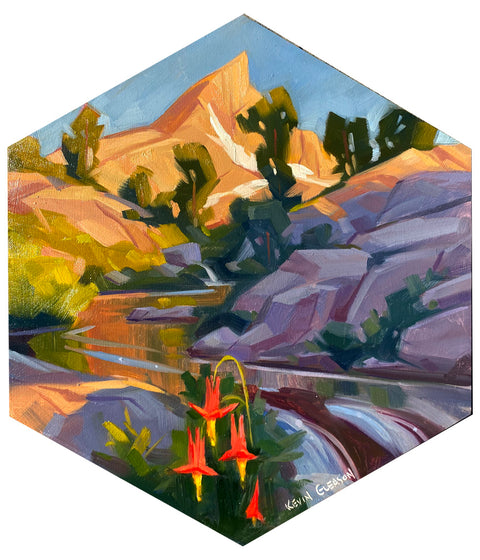 Kevin Gleason - Snowmelt Stream