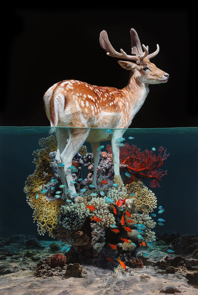 Raffle Entry: Lisa Ericson - High Tide LTD ED Print