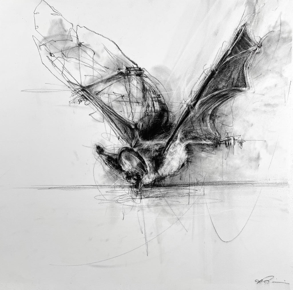 April Coppini - Pallid Bat, Taking a Drink