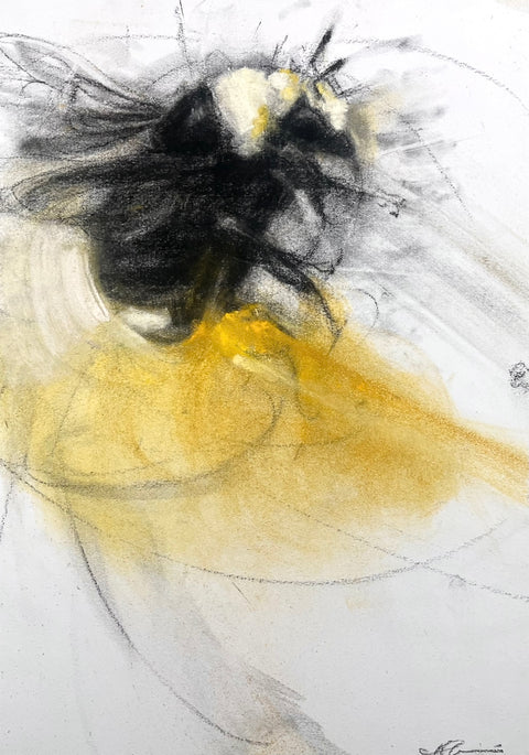 April Coppini - Yellow-Faced Bumblebee