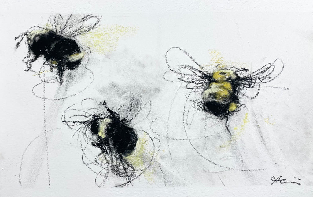 April Coppini - Three Native Bees