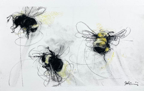 April Coppini - Three Native Bees