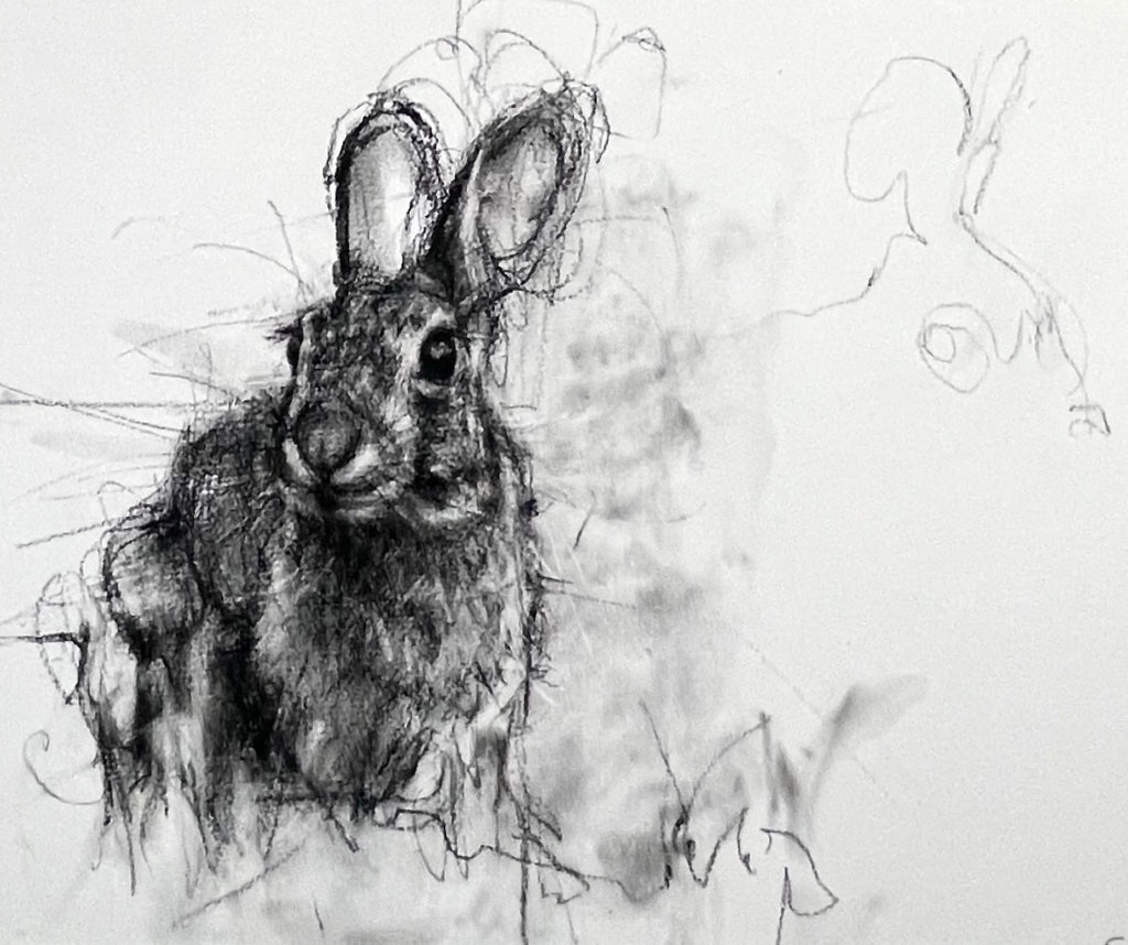 April Coppini - Wild Rabbit in the Backyard
