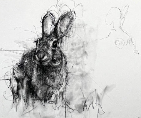 April Coppini - Wild Rabbit in the Backyard