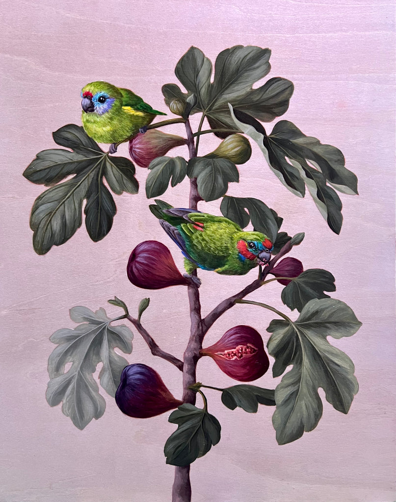 Kristin Bell - Double-Eyed Fig Parrots with Figs