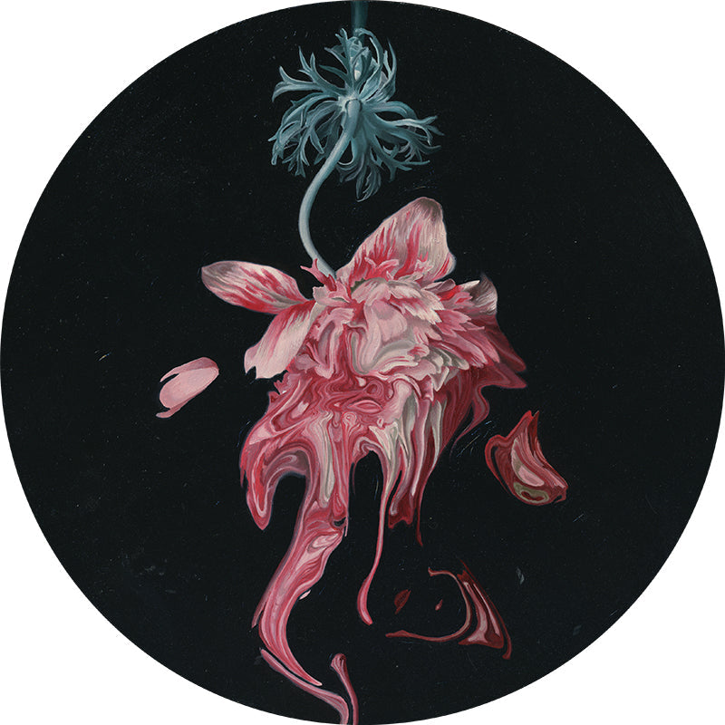 Lindsey Carr - It Was Going So Well