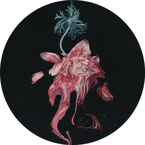 Lindsey Carr - It Was Going So Well