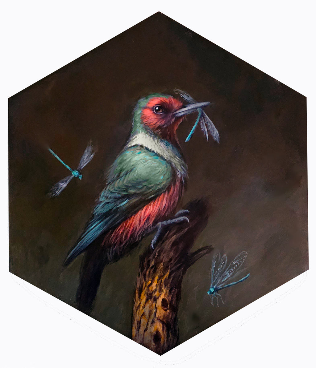 Jenn Joslin - First Light (Lewis' Woodpecker)