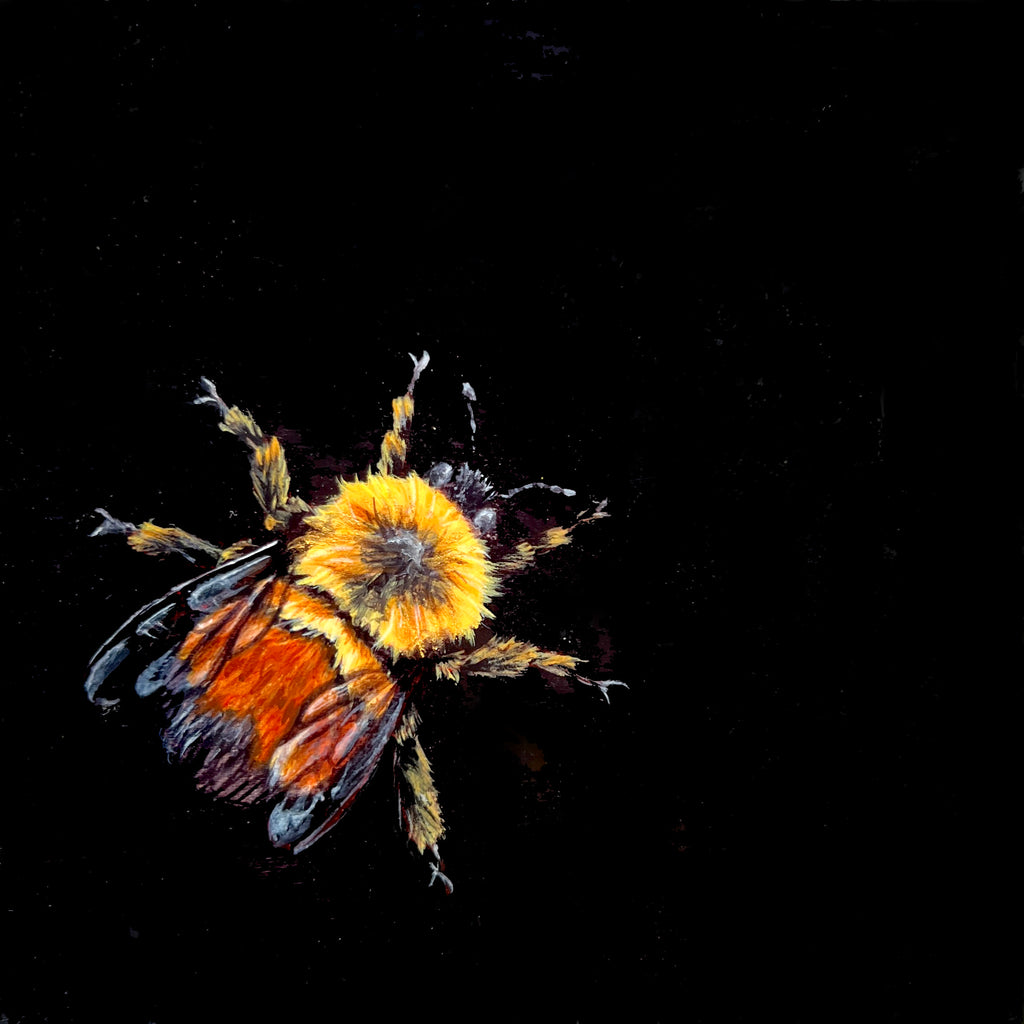 Raffle Entry: Kristin Bell - Rusty Patched Bumblebee