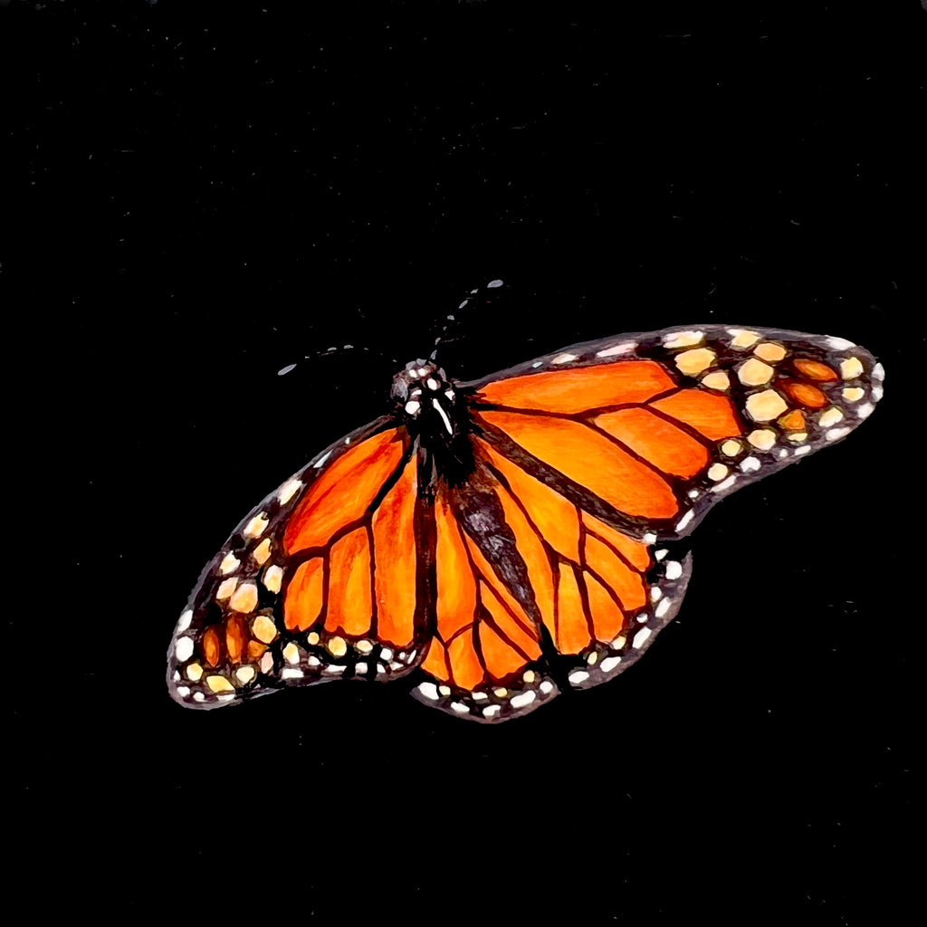 Raffle Entry: Kristin Bell - Monarch Butterfly