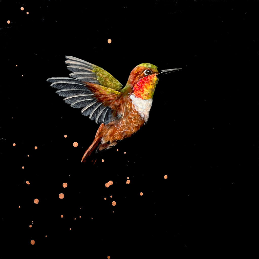 Raffle Entry: Kristin Bell - Rufous Hummingbird