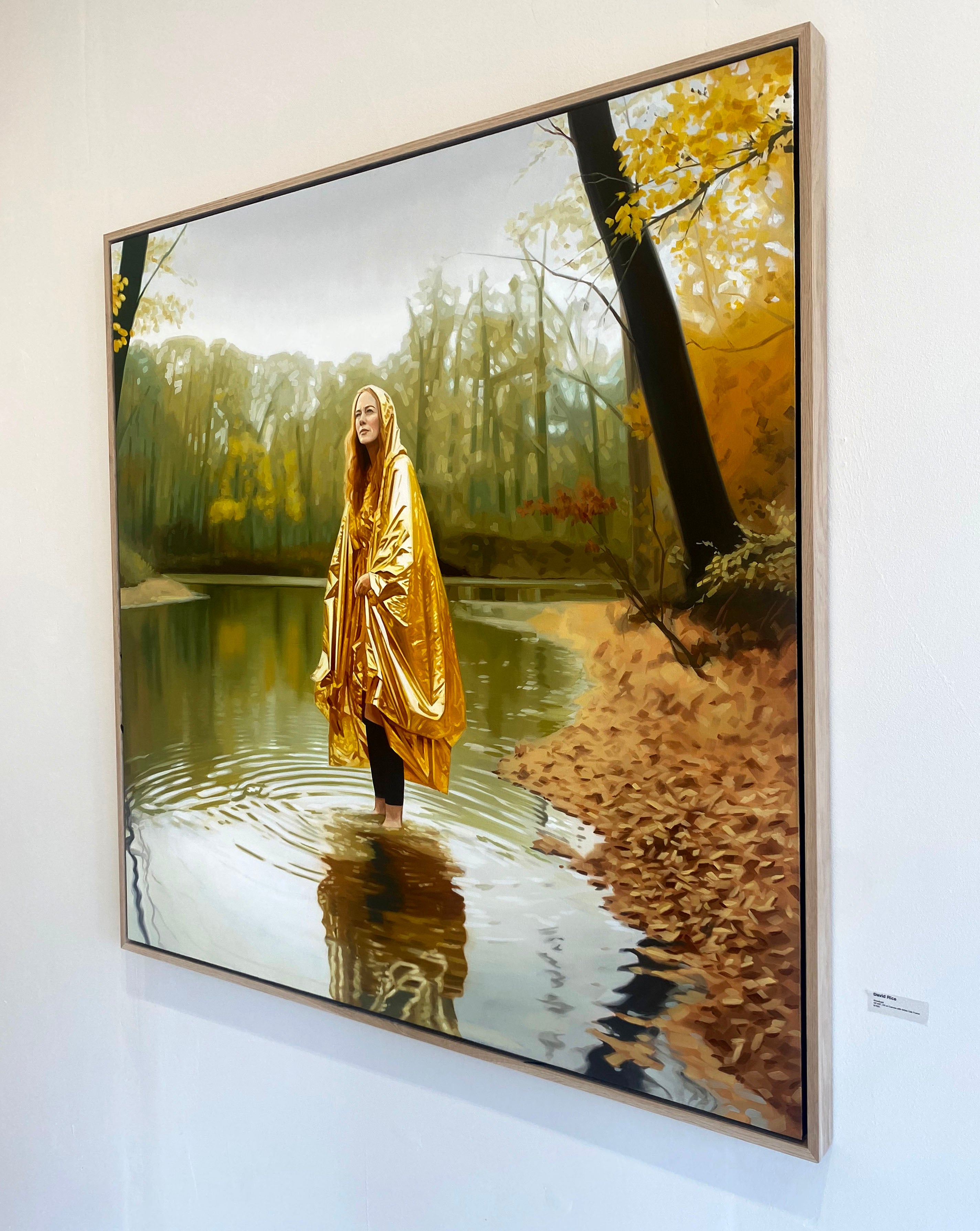 David Rice – Antler Gallery