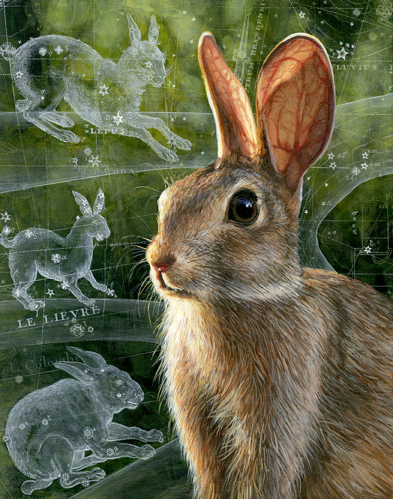 Christina Keith - Lepus
