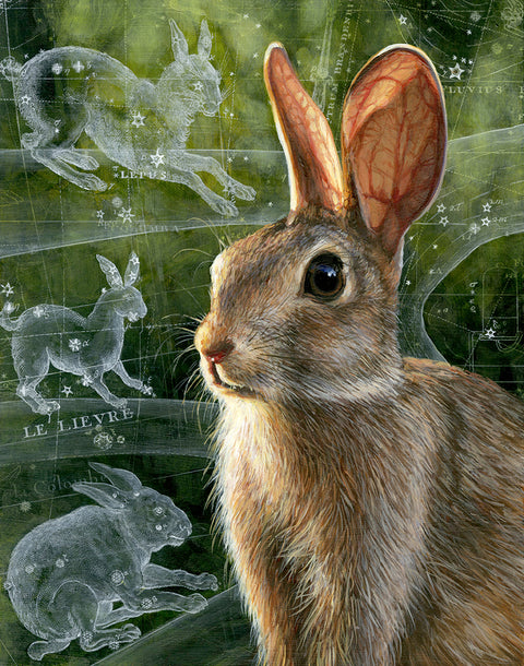 Christina Keith - Lepus