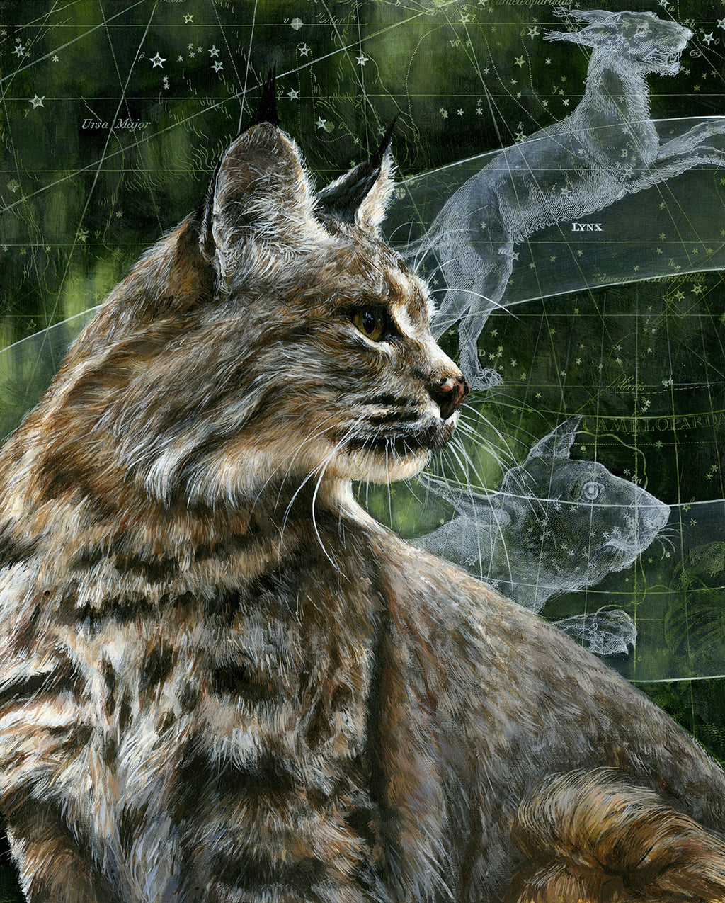 Christina Keith - Lynx