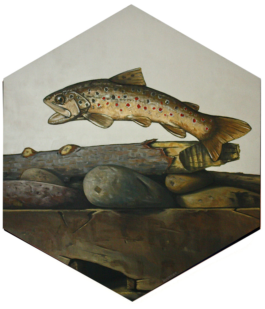 Hickory Mertsching - Brown Trout