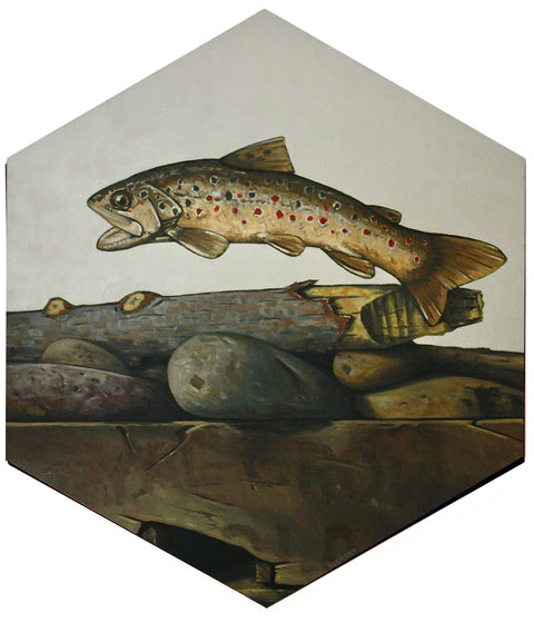 Hickory Mertsching - Brown Trout