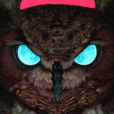 Casey Weldon - Night Vision