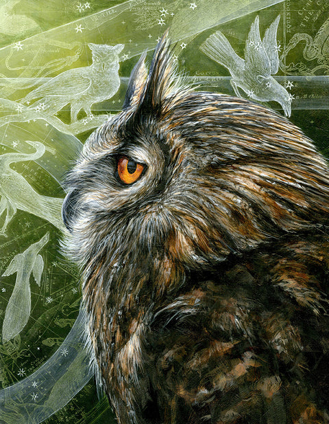 Christina Keith - Noctua