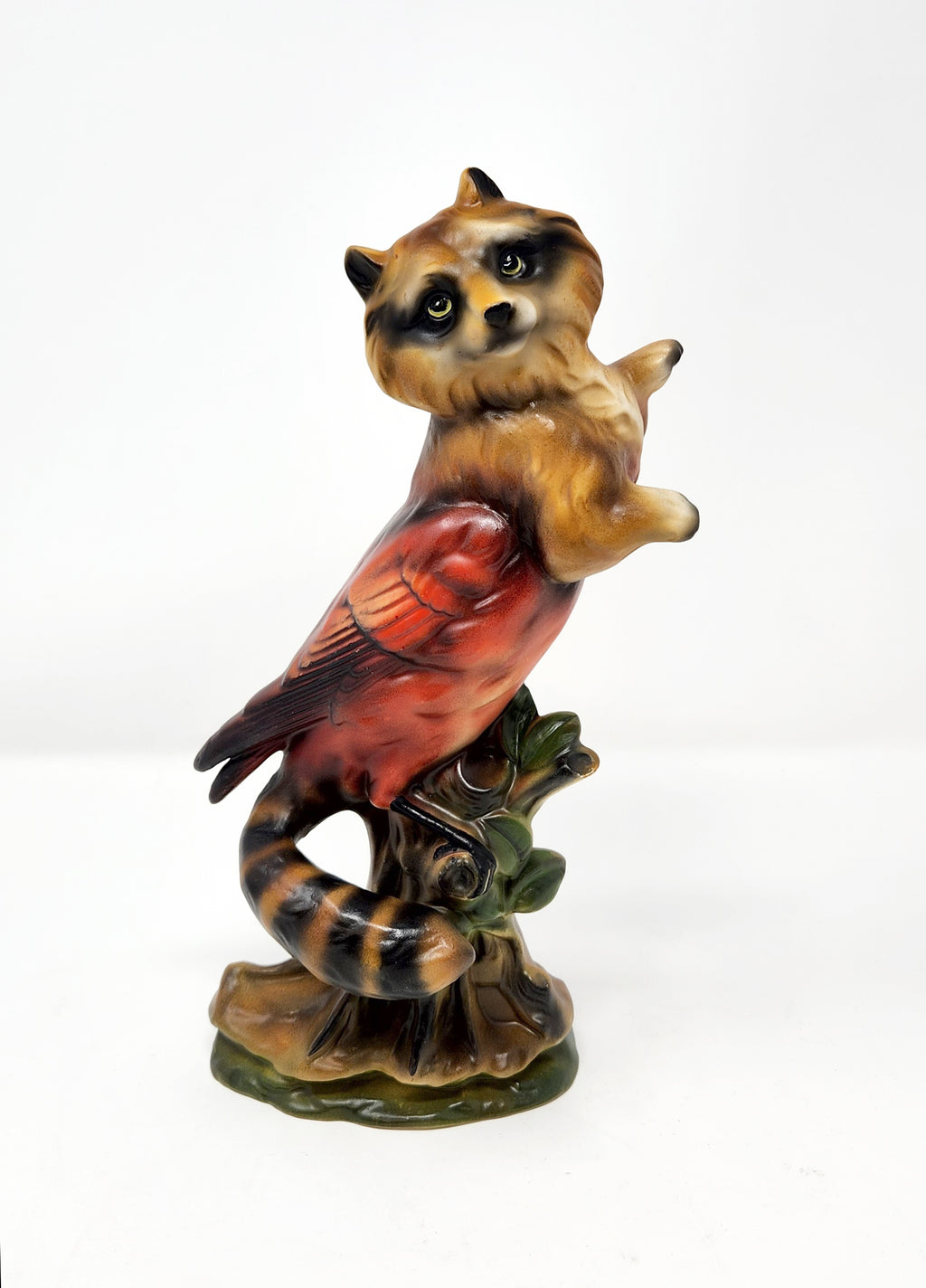 Debra Broz - Raccoon Cardinal