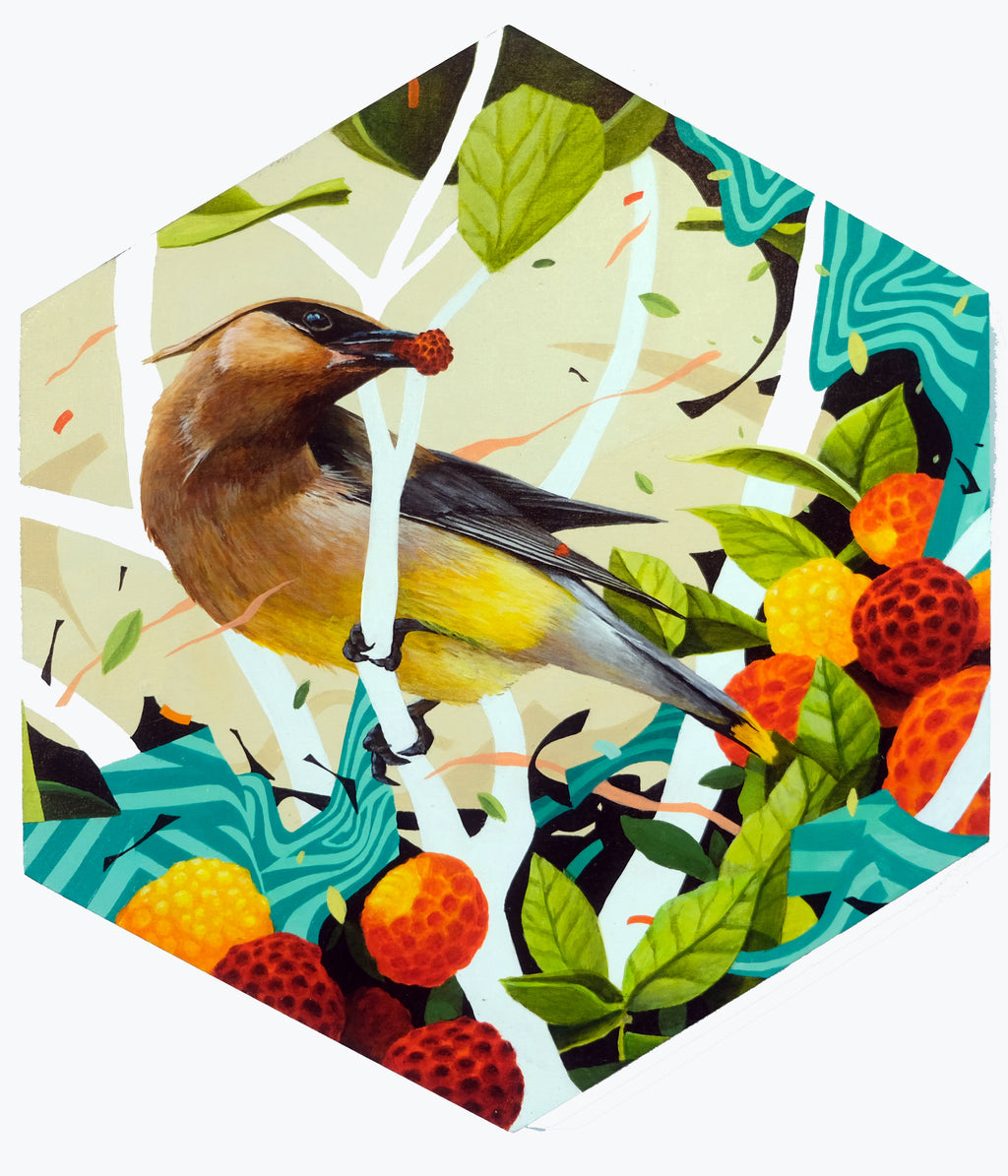 Jeremy Nichols - RazzMaTazz