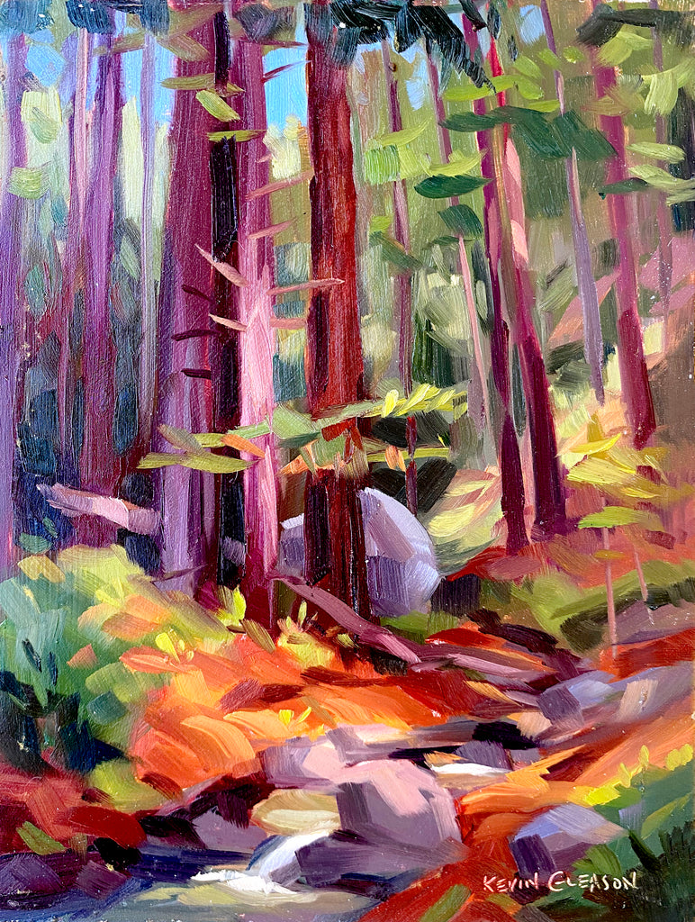 Kevin Gleason - Redwood Grove