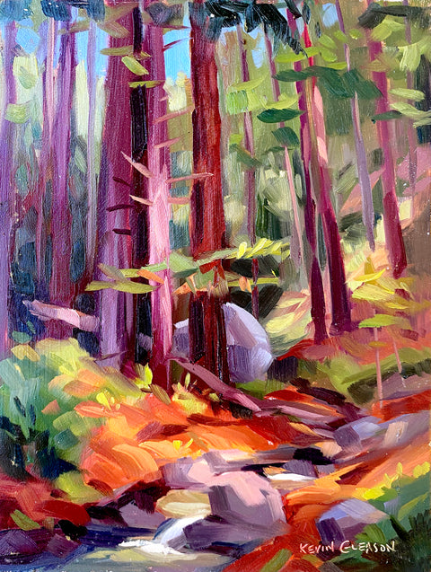 Kevin Gleason - Redwood Grove