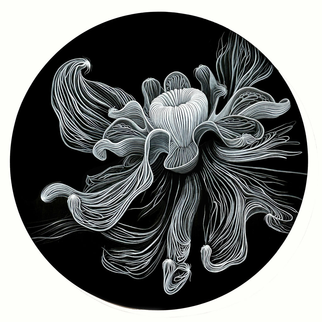 Jeff Sheridan - Ghost Bloom