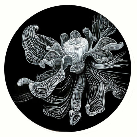 Jeff Sheridan - Ghost Bloom