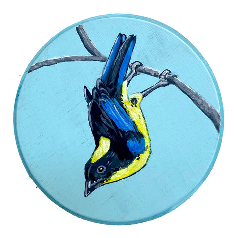 Neil Perry - I don't know what's in her dreams