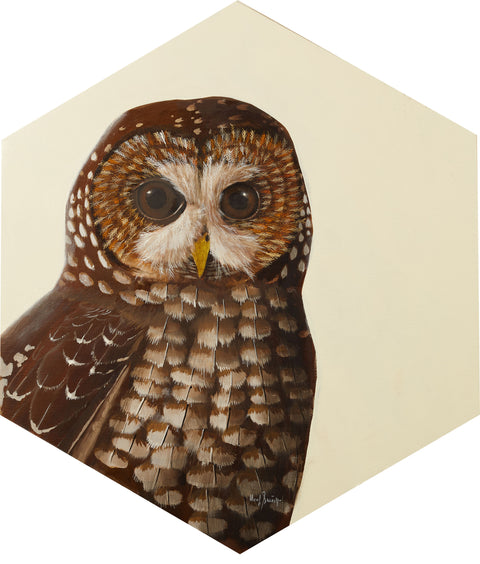 Herb Smith - Spotted Owl