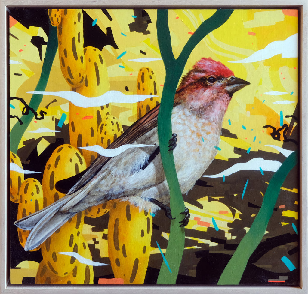 Jeremy Nichols - The Lookout II