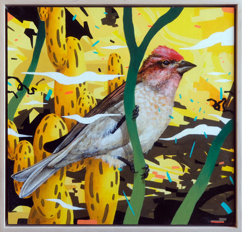 Jeremy Nichols - The Lookout II