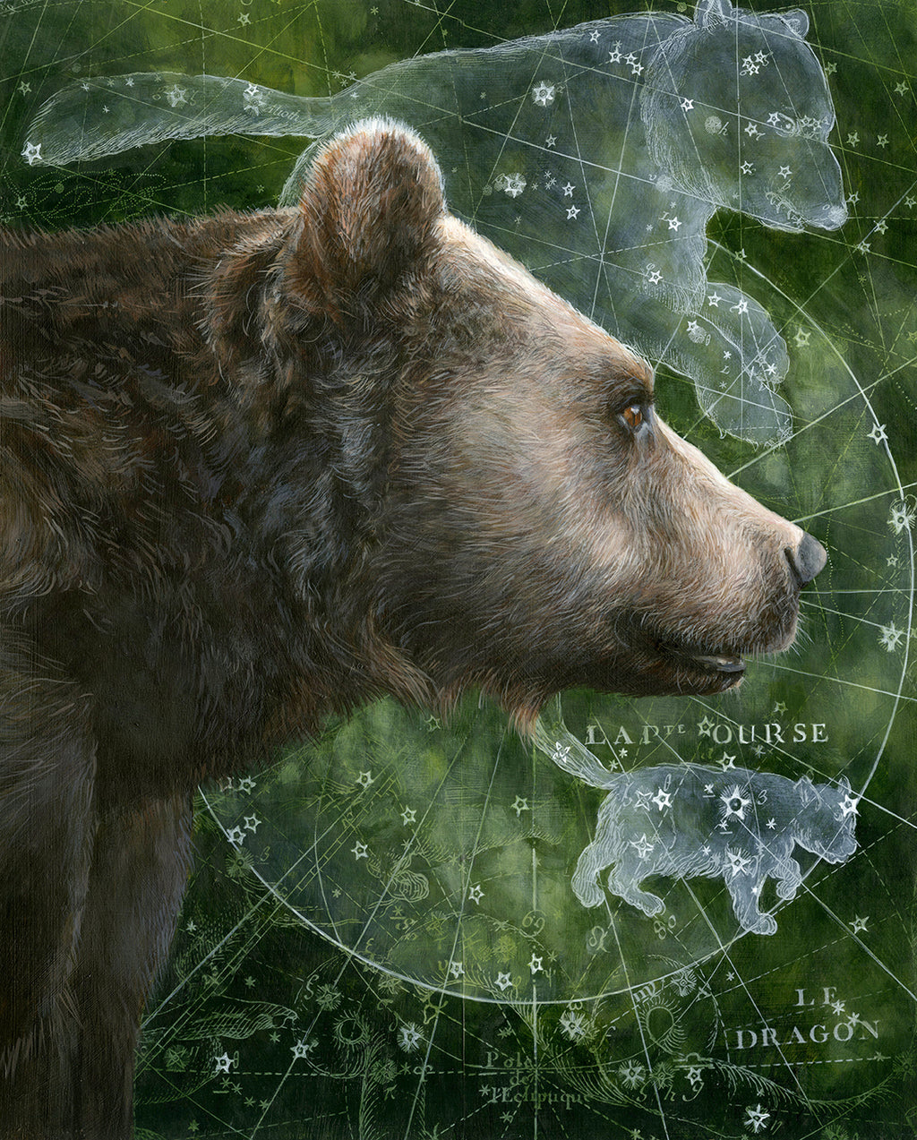 Christina Keith - Ursa