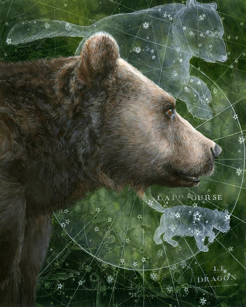 Christina Keith - Ursa
