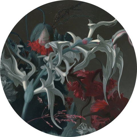 Lindsey Carr - Weaponized Insecurity