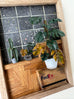Astrid Wilk - Habitat – Plant Mail Got Stuck