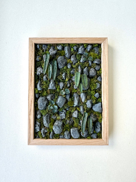 Astrid Wilk - Habitat – Moss & Anthurium