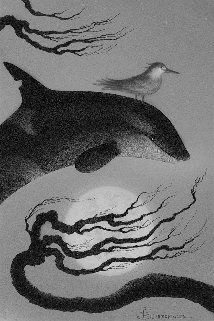 Juliet Schreckinger - Lime the Orca and Theo the Tern