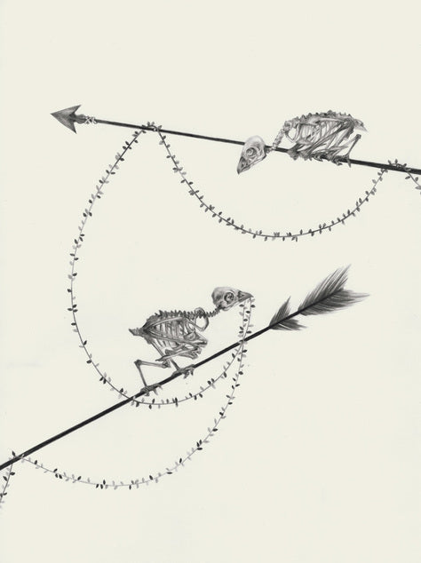 Susannah Kelly - In the Hand