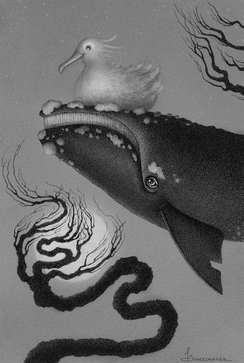 Juliet Schreckinger - Sand the Right Whale and Alfie the Albatross