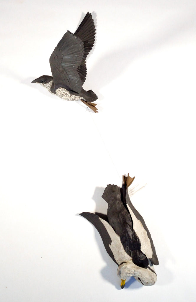 Sarah Conti - Marbled Murrelet, Extinct Labrador Duck