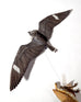 Sarah Conti - Common Nighthawk, Extinct Eskimo Curlew